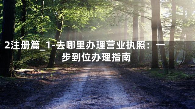 2注册篇_1-去哪里办理营业执照：一步到位办理指南