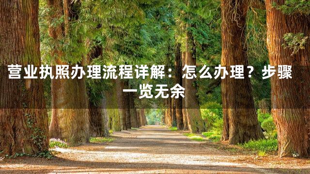 营业执照办理流程详解：怎么办理？步骤一览无余