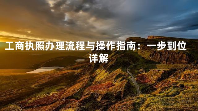 工商执照办理流程与操作指南：一步到位详解