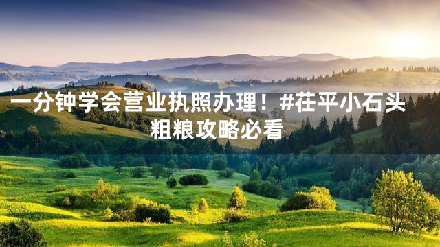 一分钟学会营业执照办理！#茌平小石头粗粮攻略必看