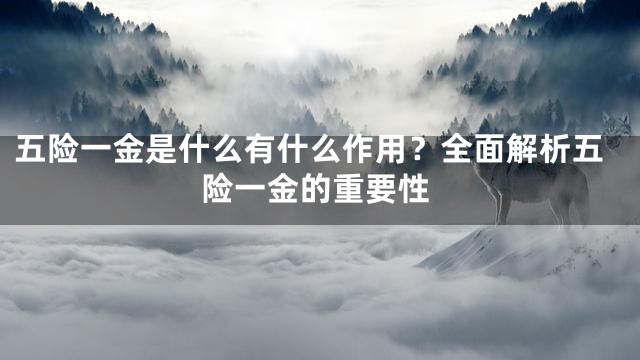 五险一金是什么有什么作用？全面解析五险一金的重要性