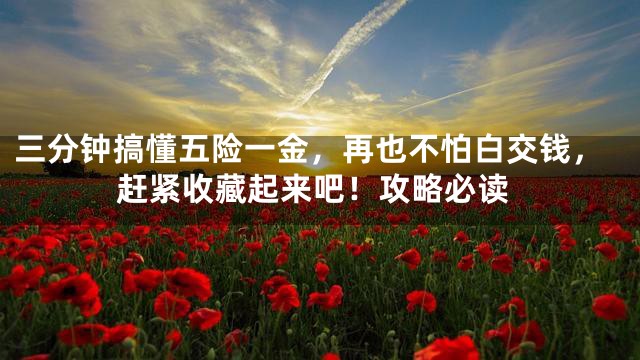 三分钟搞懂五险一金，再也不怕白交钱，赶紧收藏起来吧！攻略必读