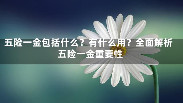 五险一金包括什么？有什么用？全面解析五险一金重要性