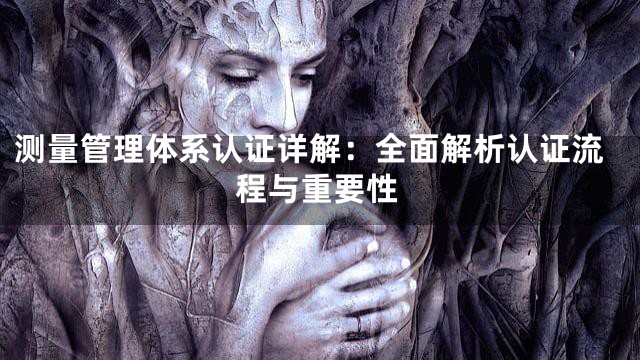 测量管理体系认证详解：全面解析认证流程与重要性