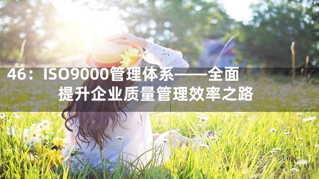 46：ISO9000管理体系——全面提升企业质量管理效率之路