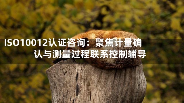 ISO10012认证咨询：聚焦计量确认与测量过程联系控制辅导