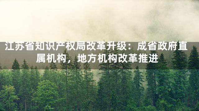 江苏省知识产权局改革升级：成省政府直属机构，地方机构改革推进
