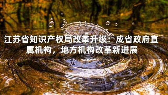 江苏省知识产权局改革升级：成省政府直属机构，地方机构改革新进展