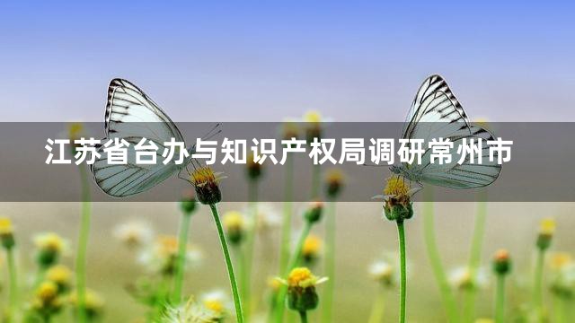 江苏省台办与知识产权局调研常州市