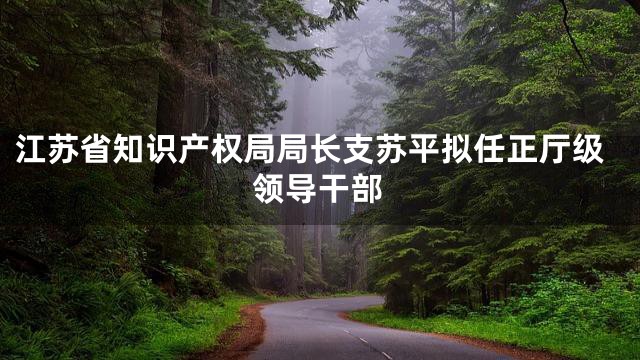 江苏省知识产权局局长支苏平拟任正厅级领导干部