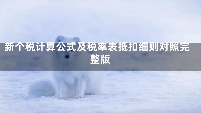 新个税计算公式及税率表抵扣细则对照完整版