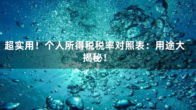 超实用！个人所得税税率对照表：用途大揭秘！