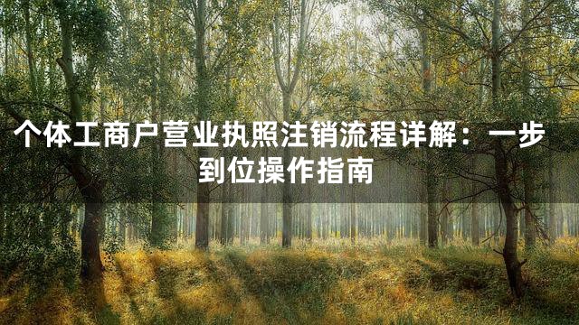 个体工商户营业执照注销流程详解：一步到位操作指南