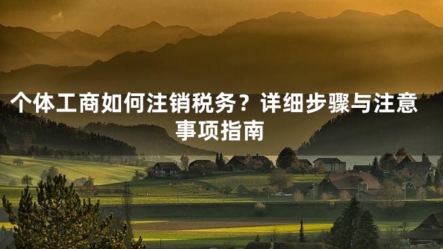 个体工商如何注销税务？详细步骤与注意事项指南