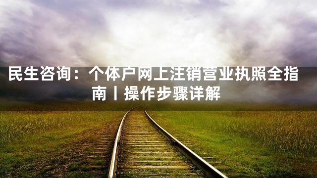 民生咨询：个体户网上注销营业执照全指南丨操作步骤详解