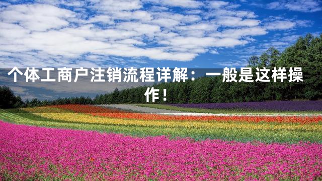 个体工商户注销流程详解：一般是这样操作！