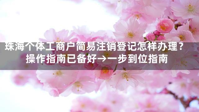 珠海个体工商户简易注销登记怎样办理？操作指南已备好→一步到位指南