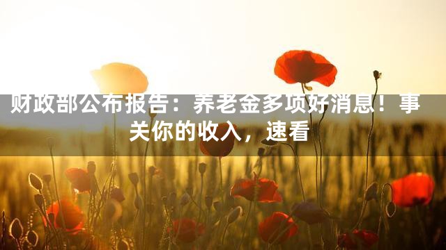 财政部公布报告：养老金多项好消息！事关你的收入，速看