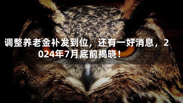 调整养老金补发到位，还有一好消息，2024年7月底前揭晓！
