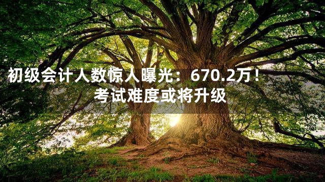 初级会计人数惊人曝光：670.2万！考试难度或将升级