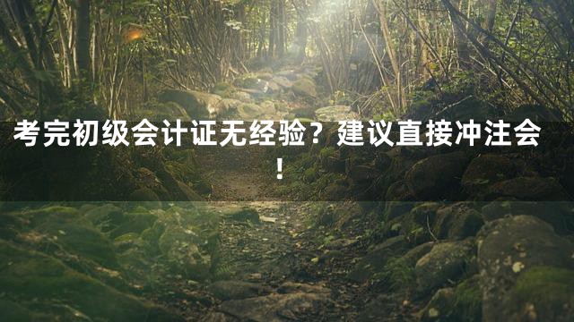 考完初级会计证无经验？建议直接冲注会！