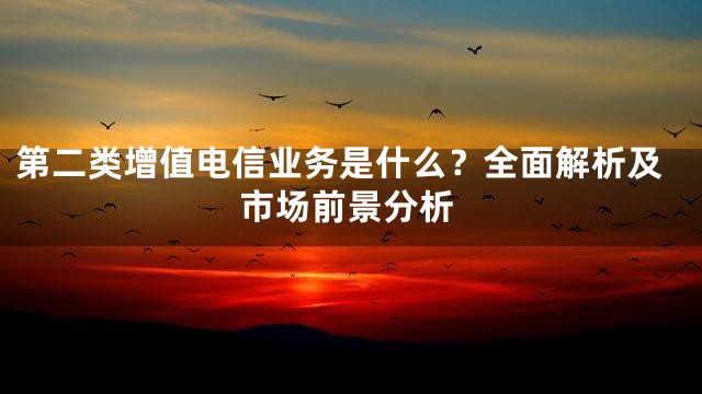 第二类增值电信业务是什么？全面解析及市场前景分析