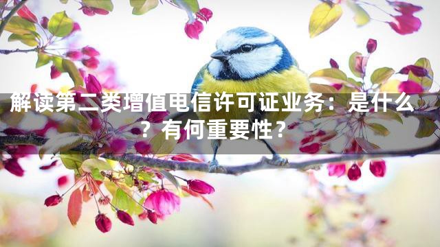解读第二类增值电信许可证业务：是什么？有何重要性？