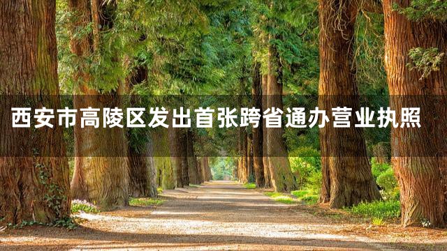 西安市高陵区发出首张跨省通办营业执照