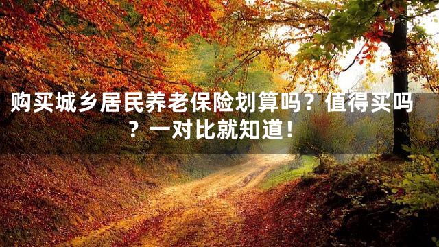 购买城乡居民养老保险划算吗？值得买吗？一对比就知道！