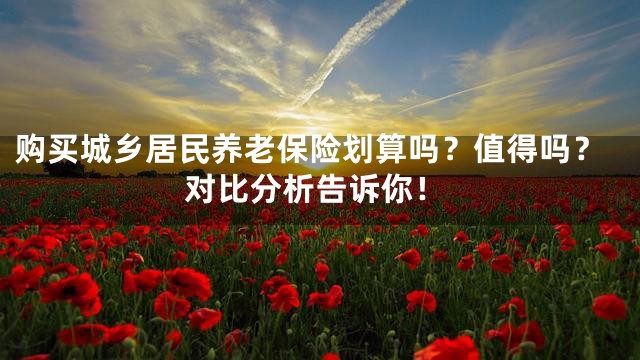 购买城乡居民养老保险划算吗？值得吗？对比分析告诉你！