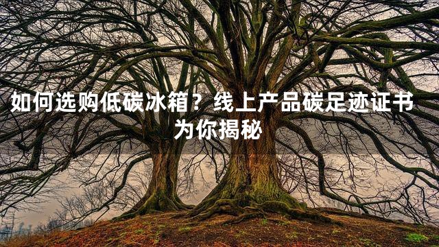 如何选购低碳冰箱？线上产品碳足迹证书为你揭秘