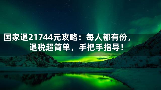 国家退21744元攻略：每人都有份，退税超简单，手把手指导！