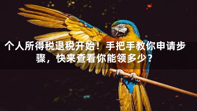 个人所得税退税开始！手把手教你申请步骤，快来查看你能领多少？