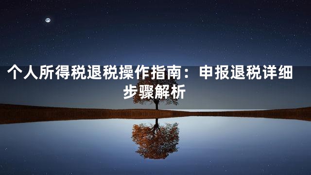 个人所得税退税操作指南：申报退税详细步骤解析