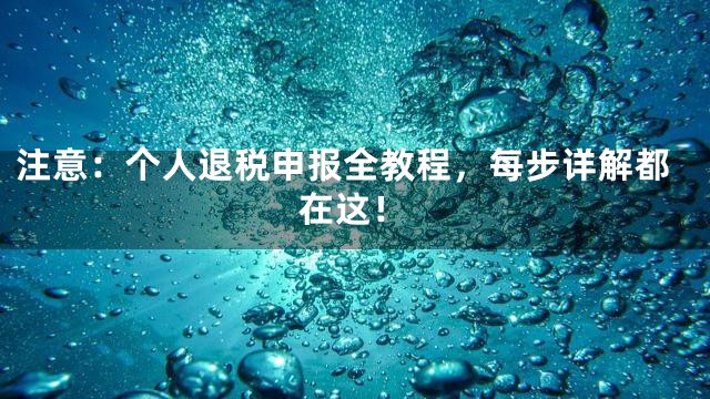 注意：个人退税申报全教程，每步详解都在这！