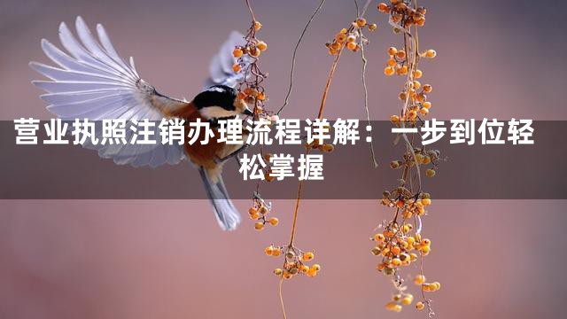 营业执照注销办理流程详解：一步到位轻松掌握