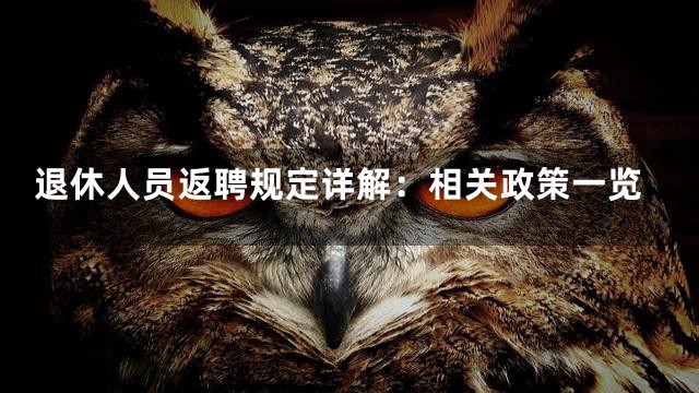 退休人员返聘规定详解：相关政策一览
