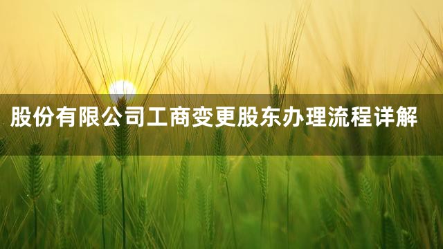 股份有限公司工商变更股东办理流程详解