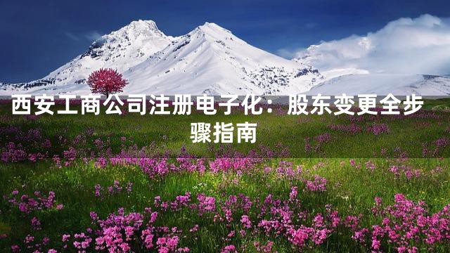 西安工商公司注册电子化：股东变更全步骤指南