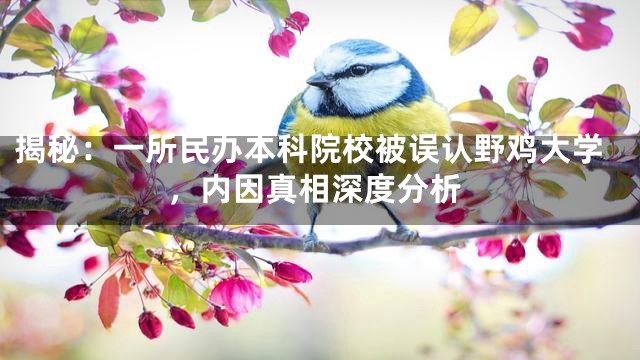 揭秘：一所民办本科院校被误认野鸡大学，内因真相深度分析