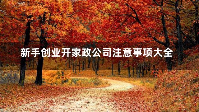 新手创业开家政公司注意事项大全