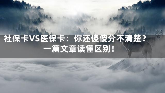 社保卡VS医保卡：你还傻傻分不清楚？一篇文章读懂区别！