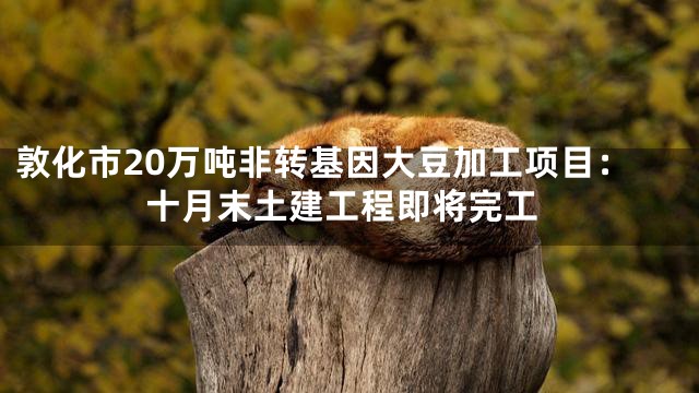 敦化市20万吨非转基因大豆加工项目：十月末土建工程即将完工