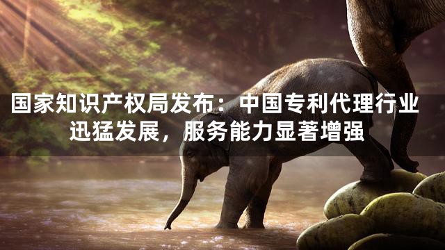 国家知识产权局发布：中国专利代理行业迅猛发展，服务能力显著增强