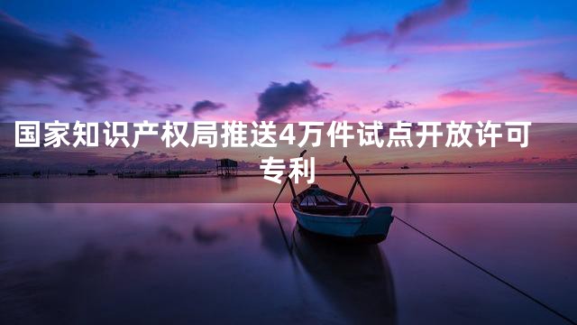 国家知识产权局推送4万件试点开放许可专利