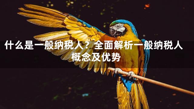 什么是一般纳税人？全面解析一般纳税人概念及优势