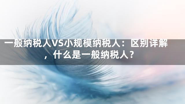 一般纳税人VS小规模纳税人：区别详解，什么是一般纳税人？