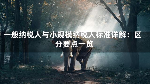 一般纳税人与小规模纳税人标准详解：区分要点一览