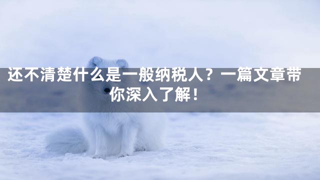 还不清楚什么是一般纳税人？一篇文章带你深入了解！