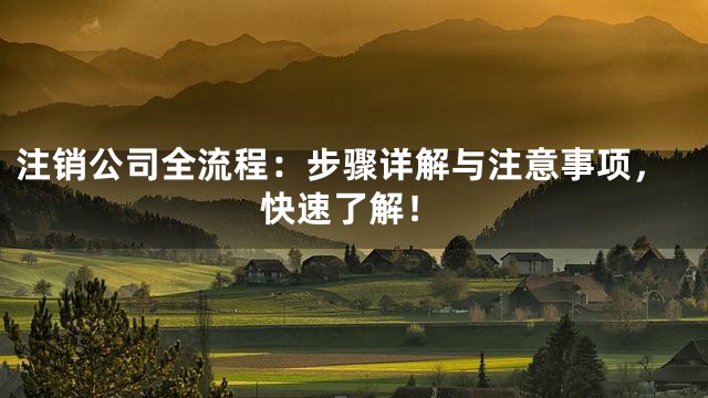 注销公司全流程：步骤详解与注意事项，快速了解！
